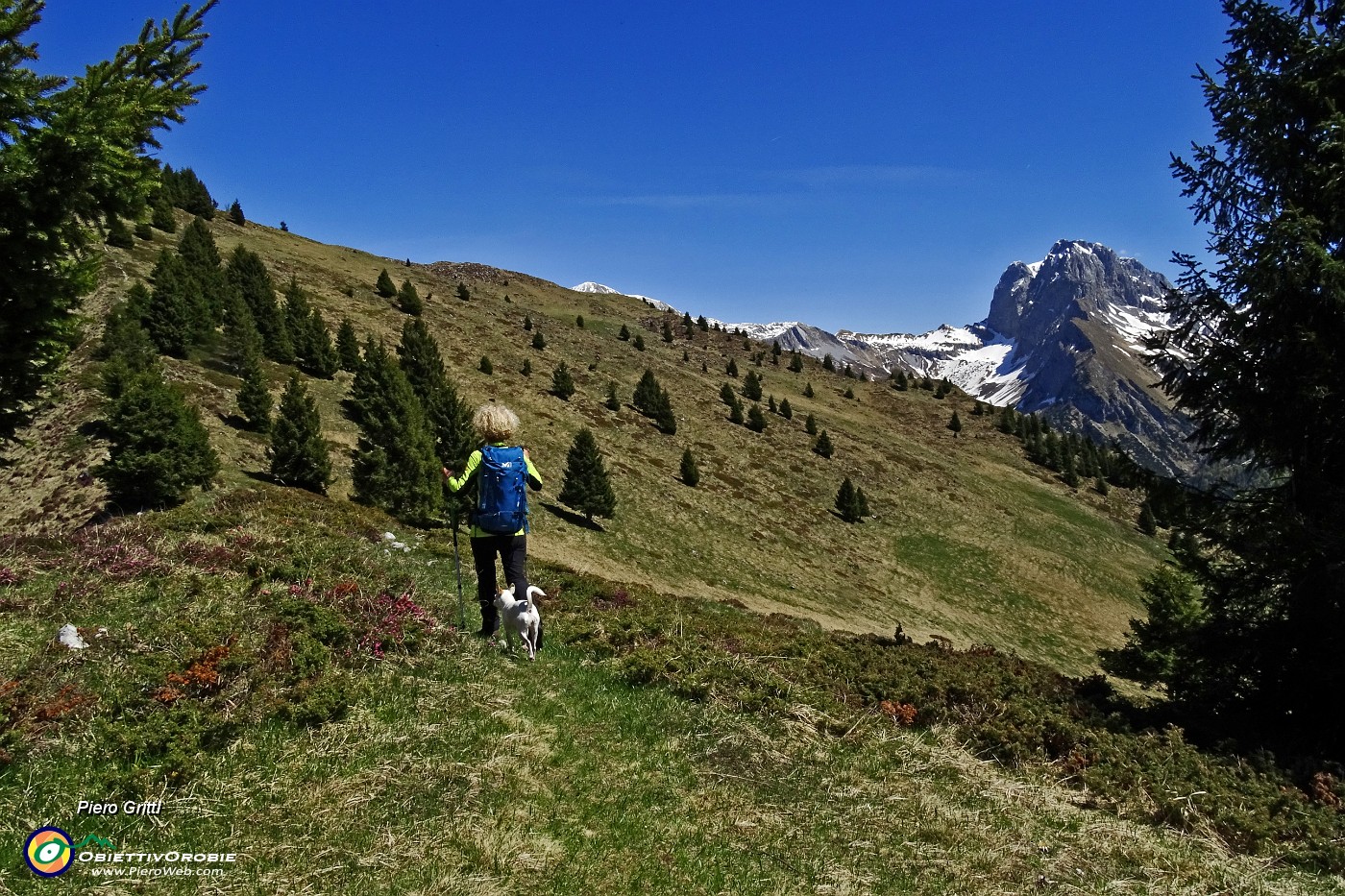 49 Dal Monte Spigla vista in Presolana.JPG -                                